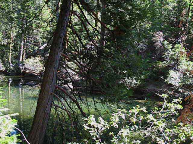 North fork of the Molkelumne River below Summit City Creek.