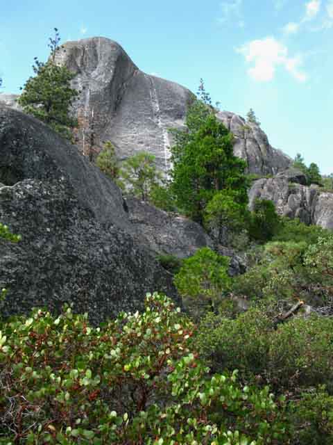 Fantastic granite along faint section of Tahoe to Yosemite Trail.