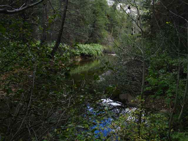 Dark and secluded stretch of Summit City Creek.