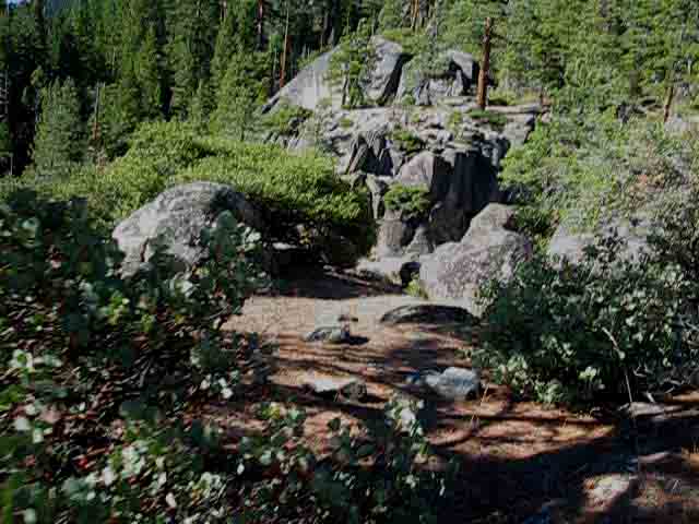 Flat along Summit City Creek, Tahoe to Yosemite Trail.