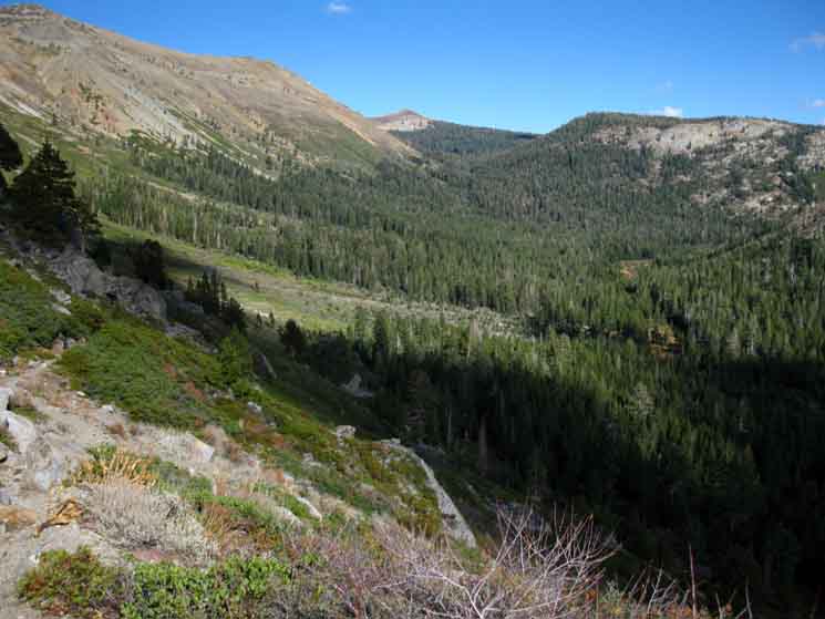 Tahoe to Yosemite Trail traversing down towards Summit City Creek headwaters.
