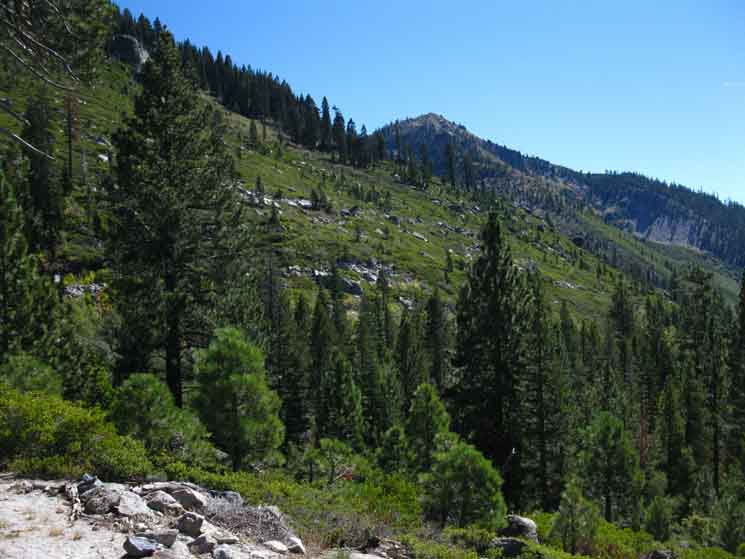 Tahoe to Yosemite Trail bending into Lake Valley.
