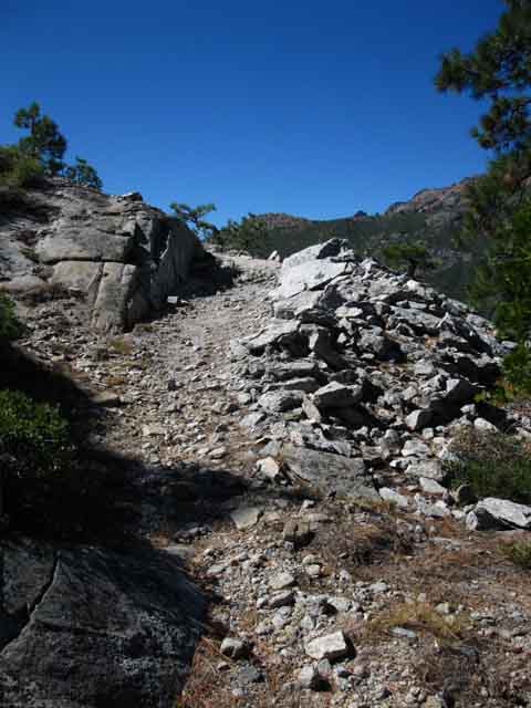 Trail work between Camp Irene and Mount Reba.