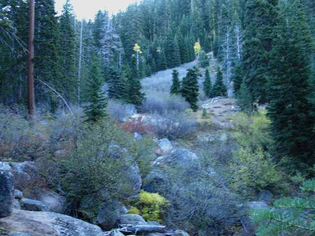 Boulder Creek above the Clarks fork of the Stanislaus River.