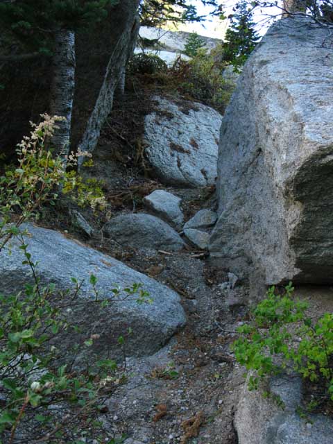 Trail twists through some rocks.