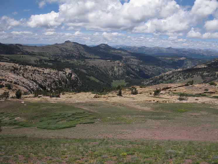 Looking at Clarks Fork Meadow from the top of the headwaters bowl near Saint Marys Pass.