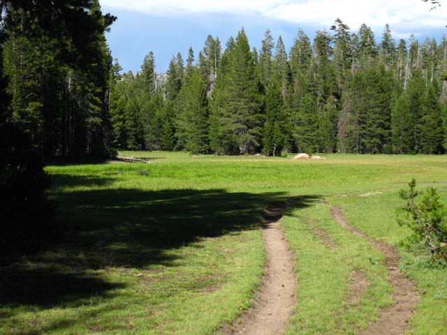 Meadow on South shore of Duck Lake.