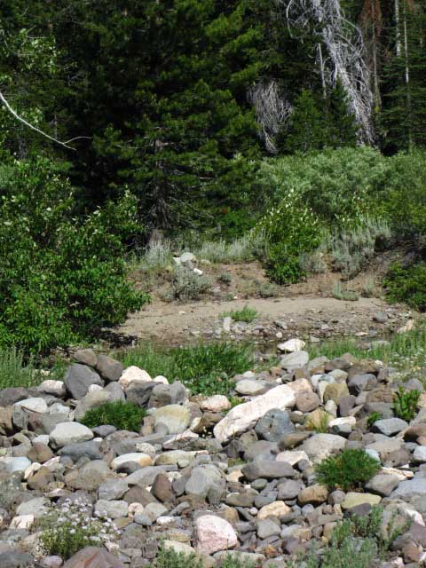 Dry feeder creek into Highland Creek.