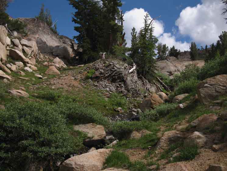 Climbing to the top of the Clarks Fork headwaters.
