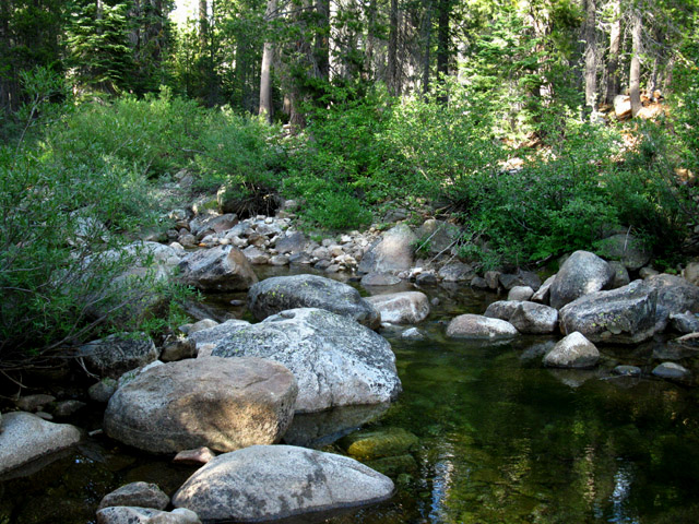North fork of the Stanislaus River, Tahoe to Yosemite Trail ford.