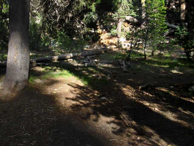 North Stanislaus River Campsite on Tahoe to Yosemite Trail.