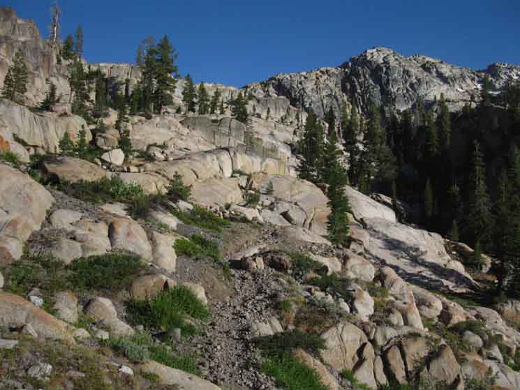 Backpacking South across Emigrant Wilderness on the Tahoe to Yosemite Trail to Sheep Camp from Saucer Meadow.
