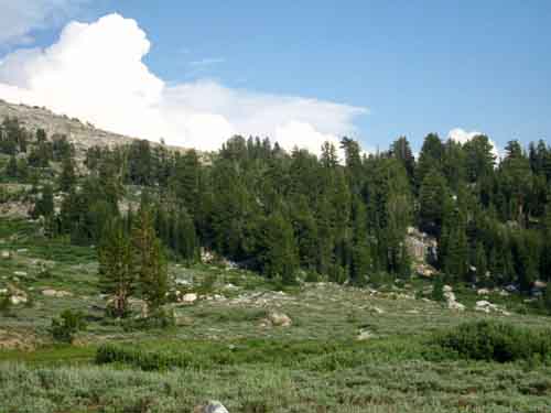 Bond Pass South of Summit Meadow.