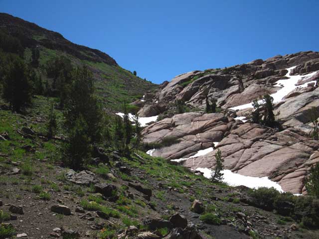 Brown Bear Pass.