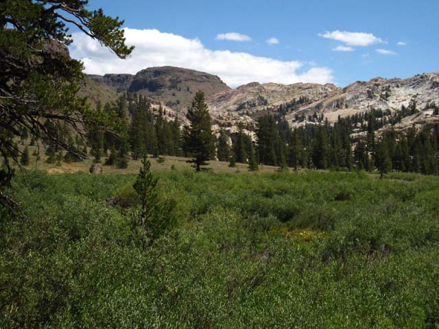 Brown Bear Pass is visible from the far North side of Lunch Meadow.