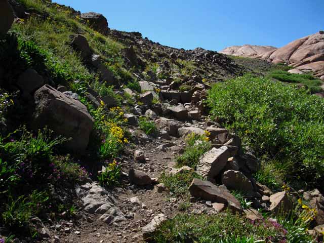 Trail up to Brown Bear Pass from the North side.