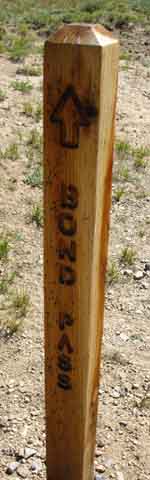 Trail post marking trail to Bond Pass from Emigrant Meadow.