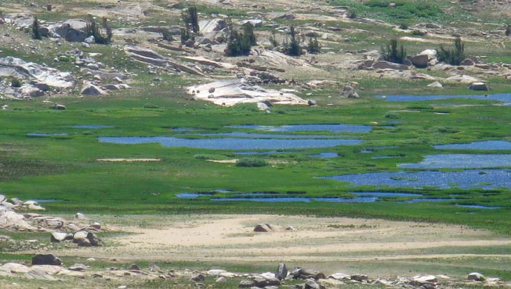 First look into the High Emigrant Meadow or Basin, and Emigrant Meadow Lake.