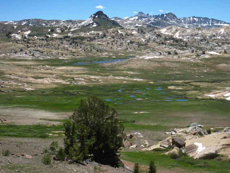 Middle Emigrant Lake in Meadow, Grizzly, Forsyth, and Tower Peaks beyond.