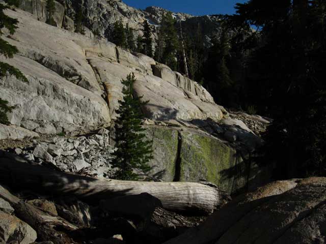 Trail to Sheep Camp, Emigrant Wilderness.