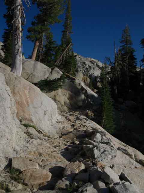 Gap to Sheep Camp on the Tahoe to Yosemite Trail.