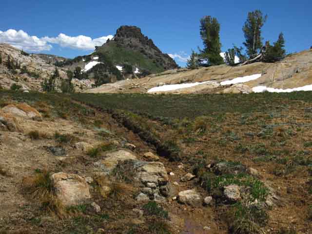 The trail to Grizzly Peak from Emigrant Meadow.
