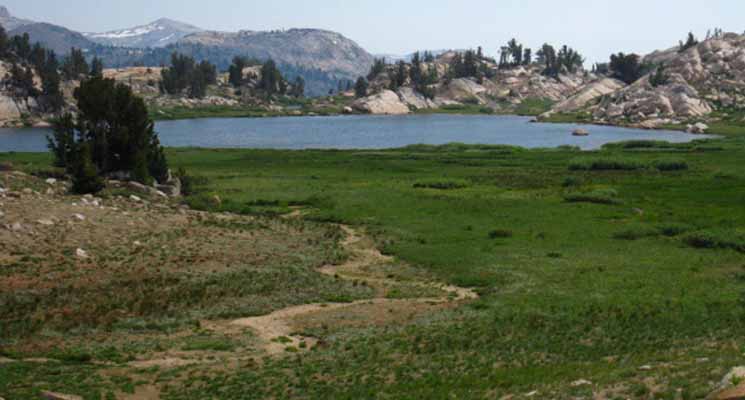 Grizzly Peak or Grizzly Meadow Lake.