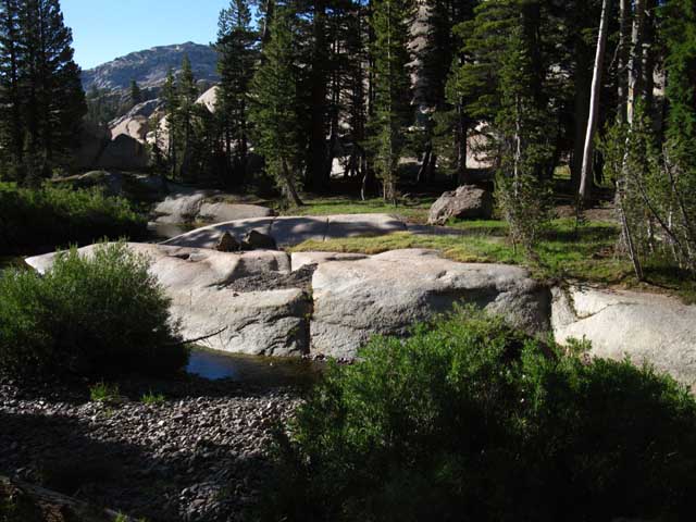 Campsite on North side of Lunch Meadow, Emigrant Wilderness, Tahoe to Yosemite Trail.