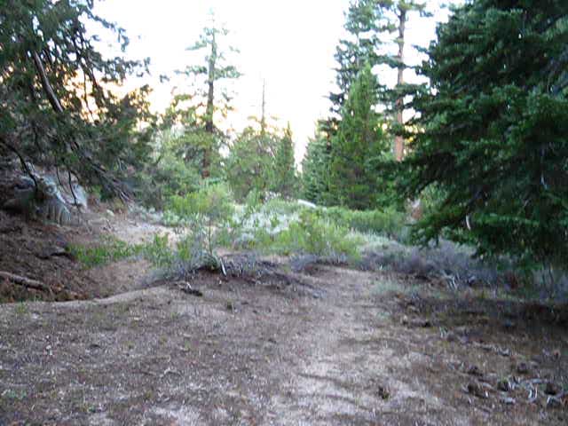 Trail connecting the TYT with the campsites on the SE shore of Relief Reservoir.