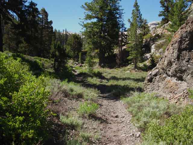 Hiking South into Saucer Meadow.