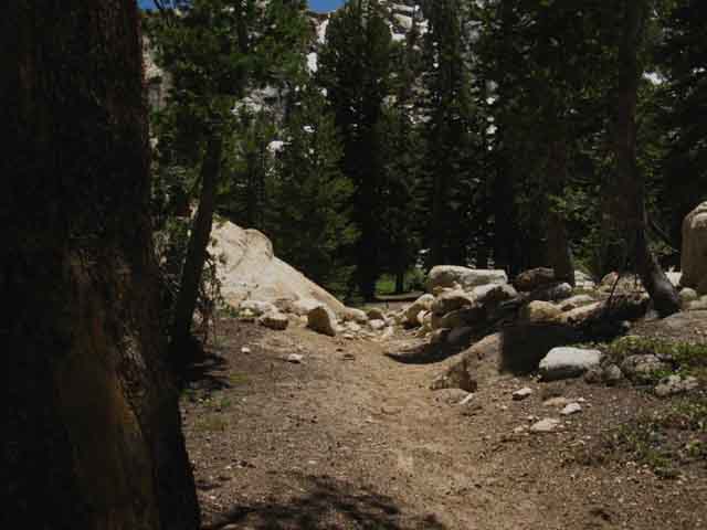 South into Sheep Camp, Emigrant Wilderness.