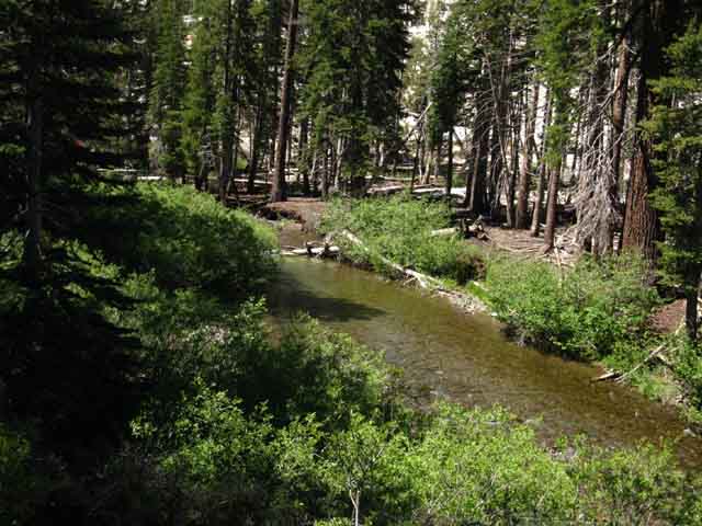 Summit Creek below Saucer Meadow campsite area.