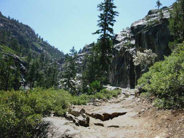 Tahoe to Yosemite Trail along Summit Creek.