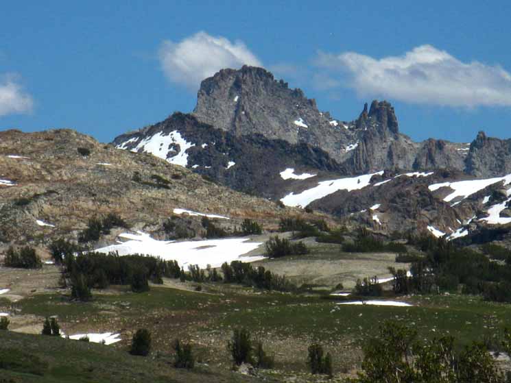Tower Peak rises in distance looking across Southeast edge of High Emigrant Wilderness.