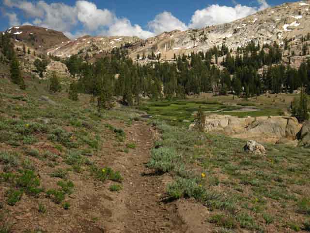 Upper Lunch Meadow and Brown Bear Pass.