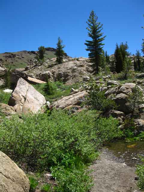Brown Bear Pass from Upper Summit Creek.
