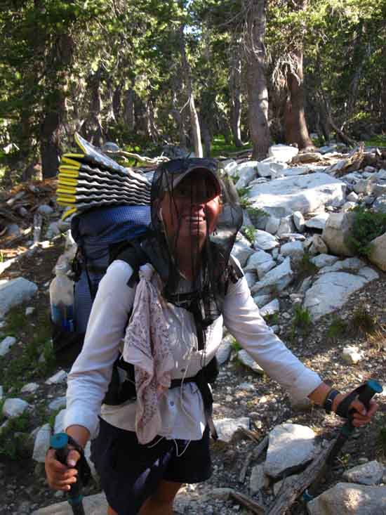 Canary climbing the PCT out of Jack Main Canyon in 2016.