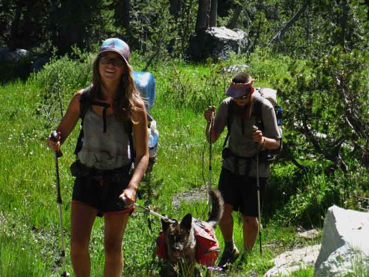 Moonshine and Handsome Devil with Dojo Dog moving up Jack Main Canyon hiking the PCT in 2016.