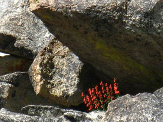 The red flash was a few flowers growing under a ledge on this massive granite structure