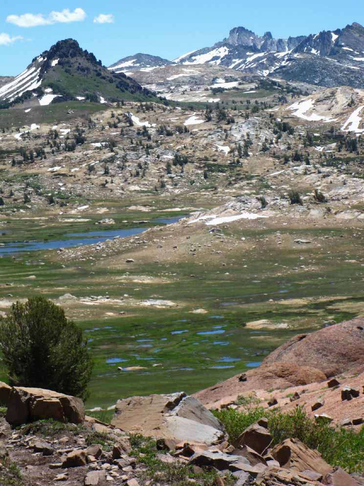 View of Emigrant Meadow from Brown Bear Pass with Grizzly and Tower Peaks in middle and far distance.