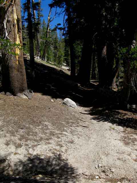Trail enters narrow track up to second gap.