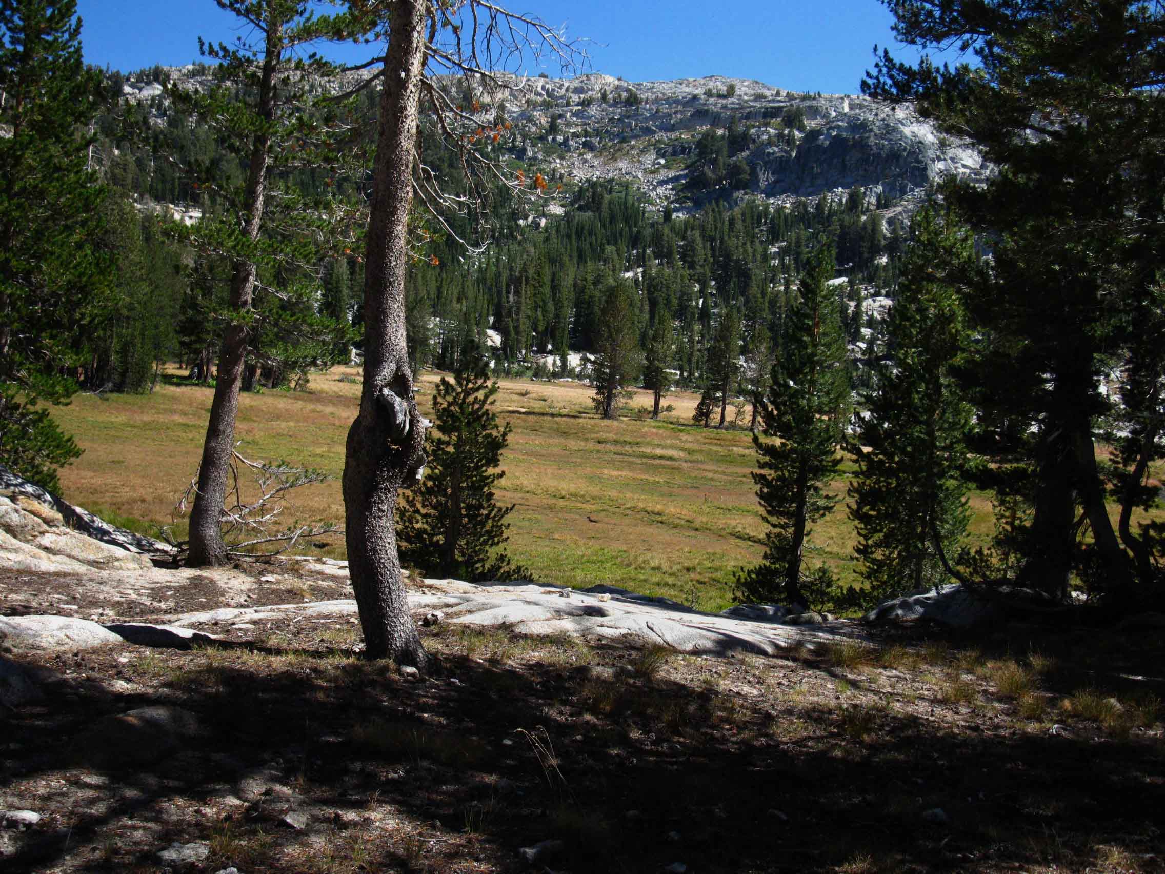 Upper level of meadow above Smedberg Lake in the North Yosemite Back Country.