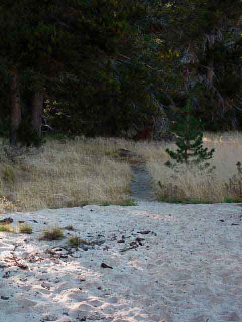 At the South end of the Bensen Lake Beach we find the trail back to the Pacific Crest and Tahoe to Yosemite Trails.