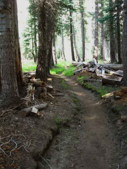 The trail to Bensen Lake from the Pacific Crest Trail.