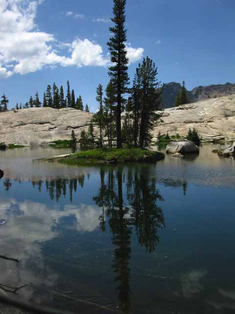 Granite island with lodgepole in Seavy Pass center pond, Yosemite National Park.