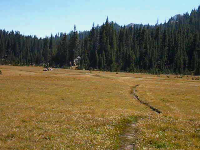 Southern end of meadow down Cold Canyon in Yosemite National Park.