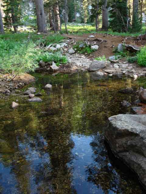 Creek by pond below Volunteer Peak.
