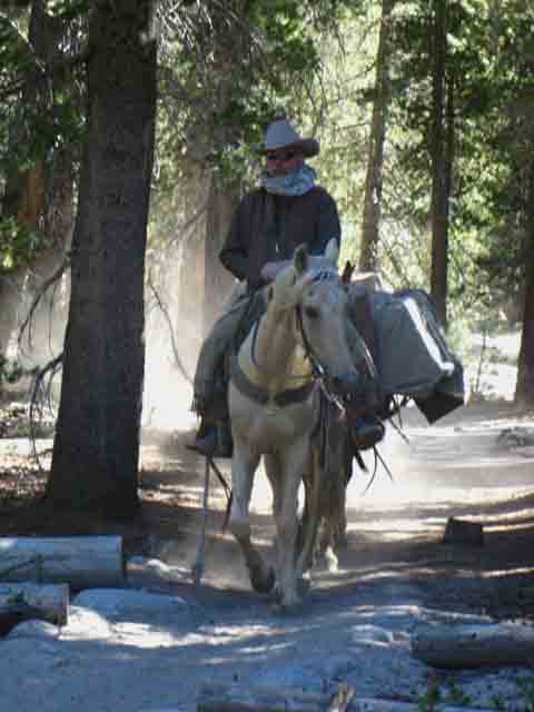 Federal horsepacker riding North out of Tuolumne Meadows.