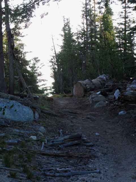 First gap hiking South of Miller Lake on the Tahoe to Yosemite Trail route through Yosemite.