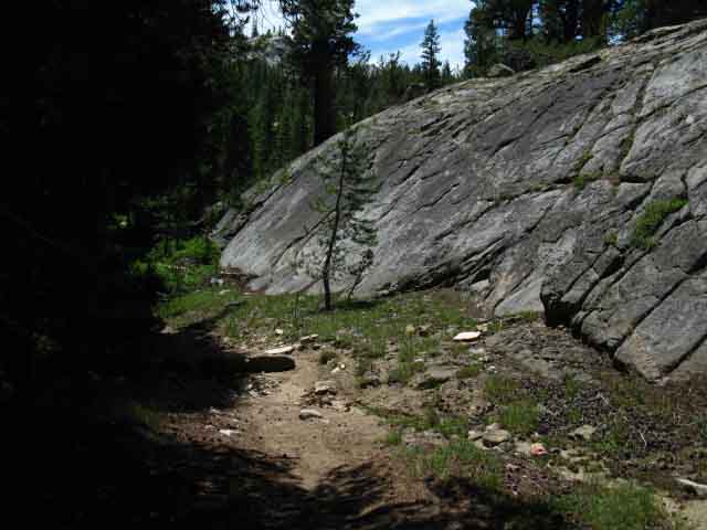 Rock along trail approaching Glen Aulin.